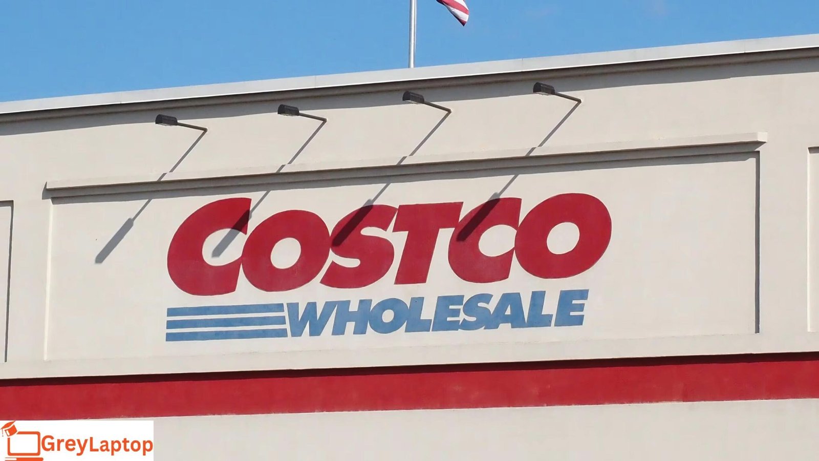 Costco Baby Wipes Lawsuit