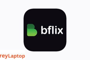 Bflix GG